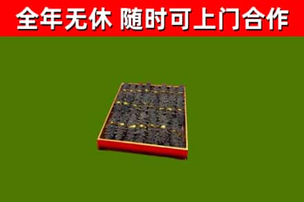 林芝回收海参
